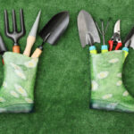 Budget-friendly garden tools for home gardening