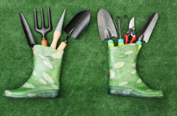 Budget-friendly garden tools for home gardening
