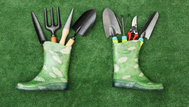 Budget-friendly garden tools for home gardening