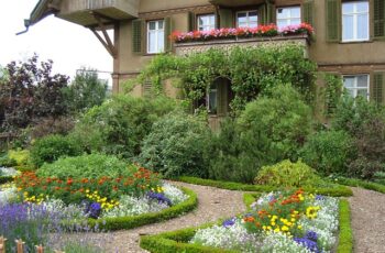 Collection of easy-care indoor plants including pothos, snake plant, and peace lily on wooden shelf in bright living room