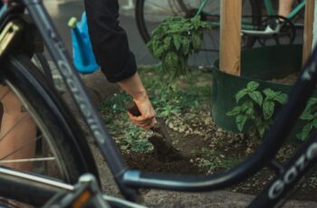 Rich dark garden soil with visible organic matter and earthworms showing healthy soil structure for growing vegetables