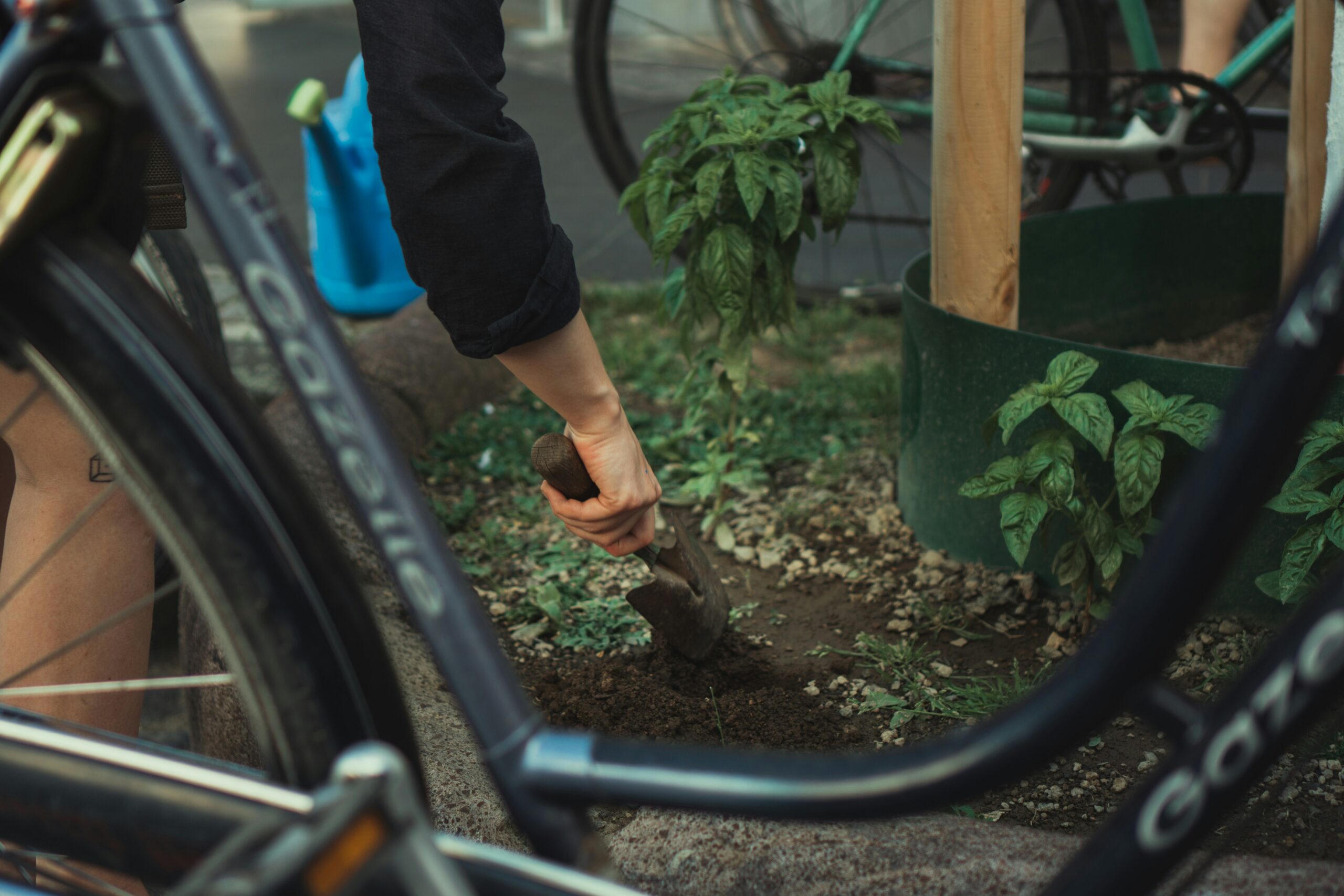 Rich dark garden soil with visible organic matter and earthworms showing healthy soil structure for growing vegetables