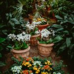 Companion Planting Guide: Grow Better Gardens Together