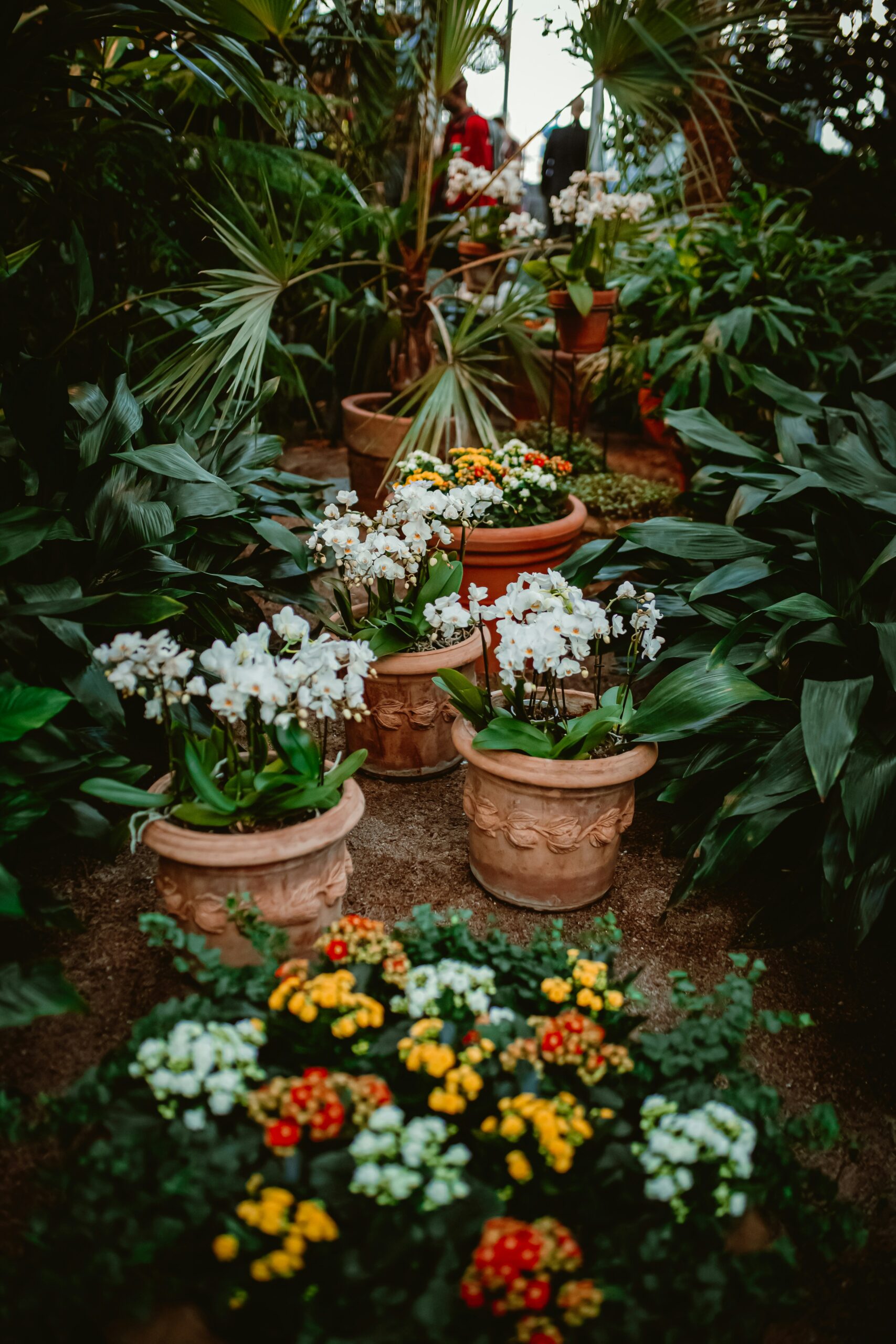 Companion Planting Guide: Grow Better Gardens Together