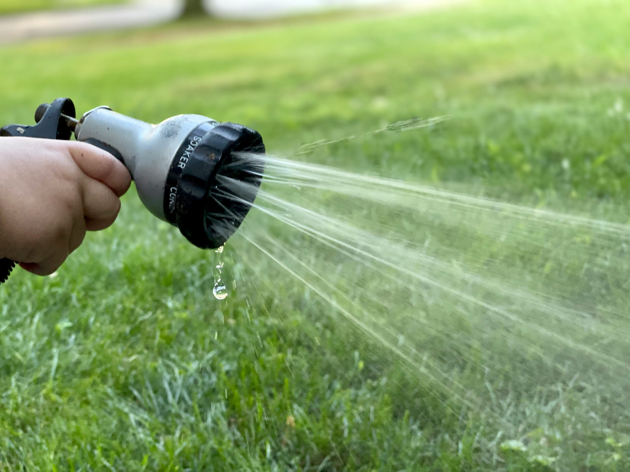 "Oscillating garden sprinkler watering green lawn showing water spray pattern for efficient yard irrigation"