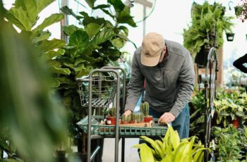Home gardener using alternative tools due to garden supply shortages in 2026