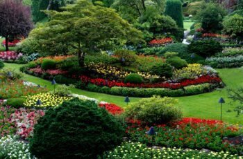 Comparison of the best garden design software for homeowners in 2026 on desktop and mobile devices